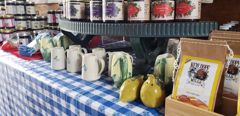 Blueberry Festival