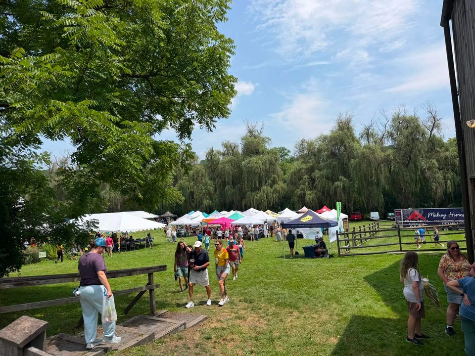 Blueberry Festival