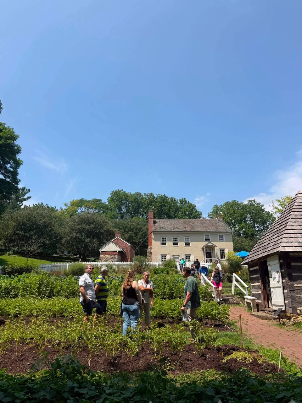Blueberry Festival