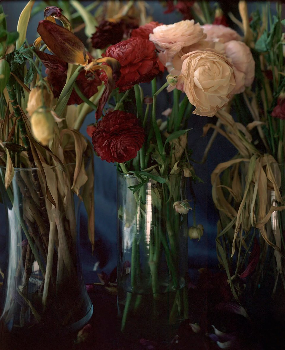Lydia Panas exhibition
