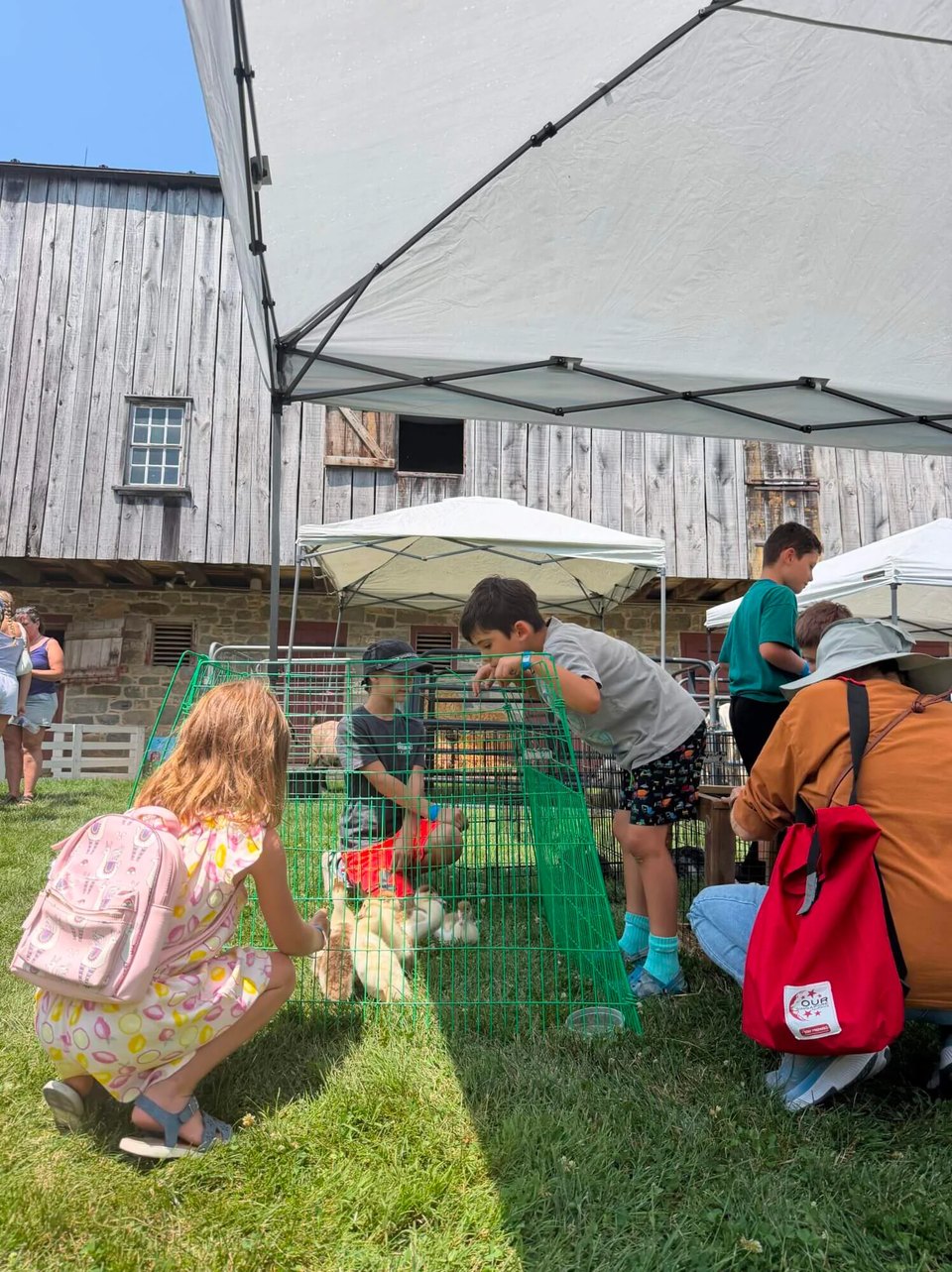 Blueberry Festival