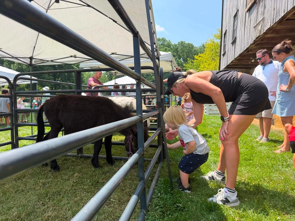 Blueberry Festival