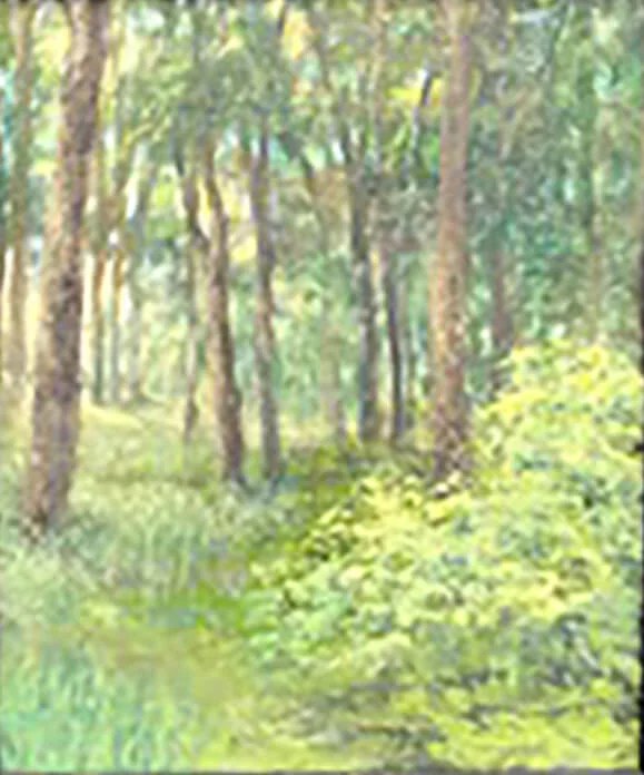 A Clear View Art Exhibit