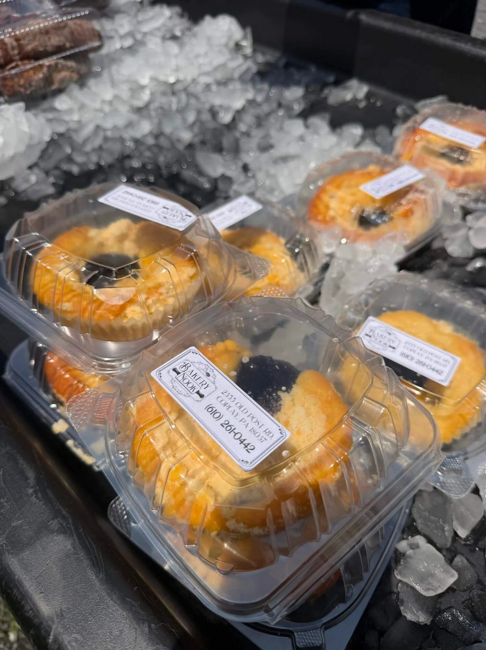 Blueberry Festival