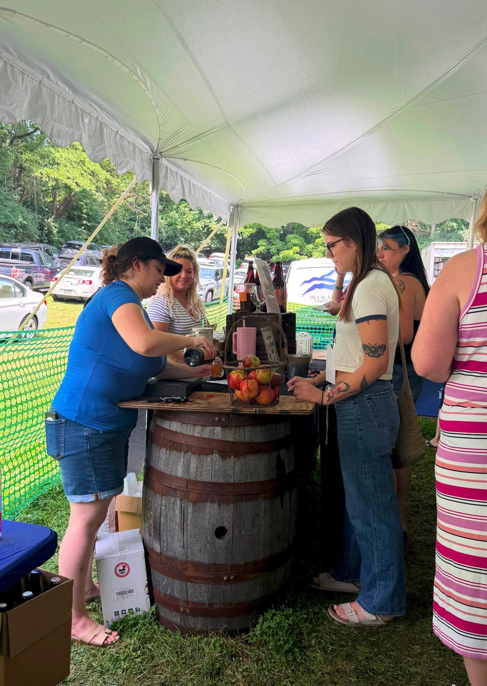 Blueberry Festival