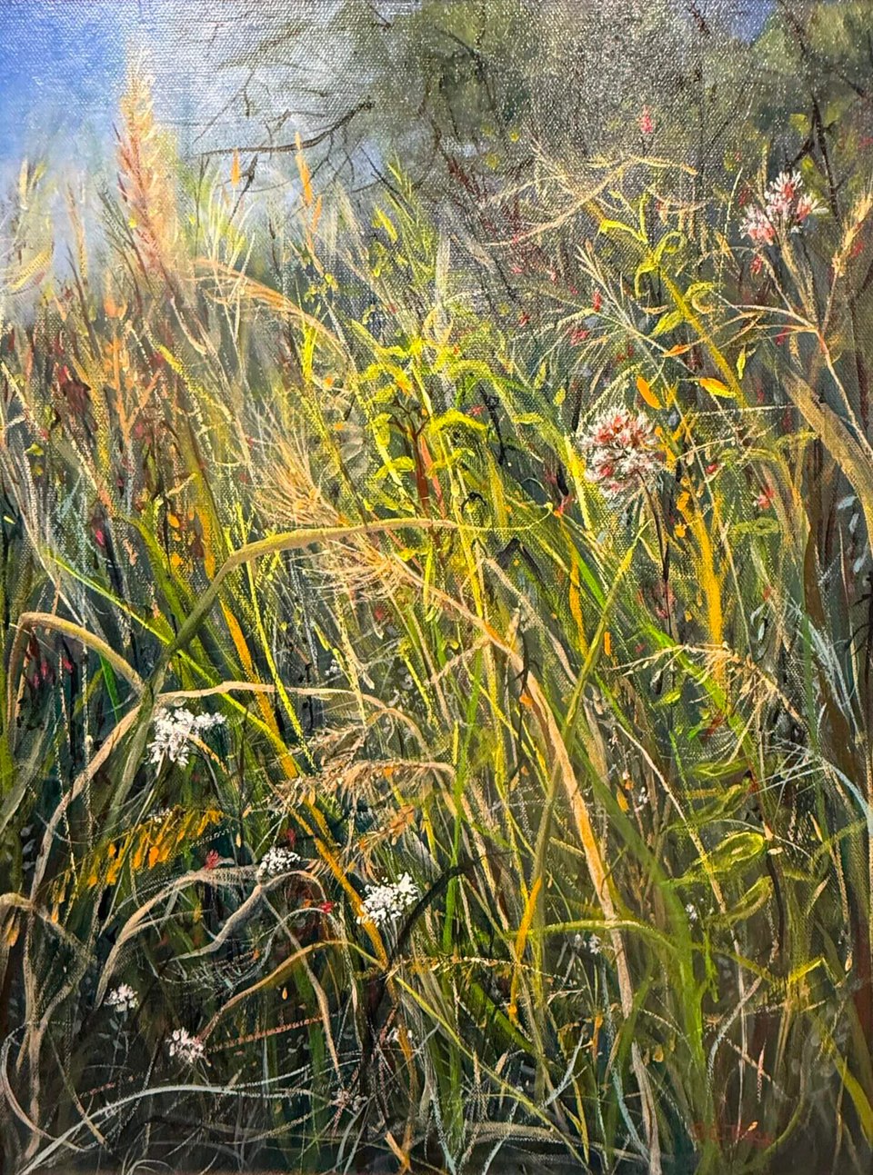 A Clear View Art Exhibit