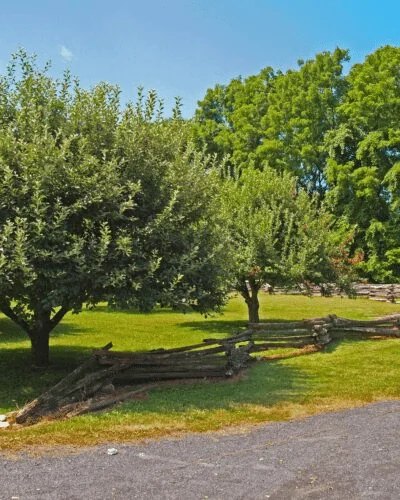 Burnside Plantation