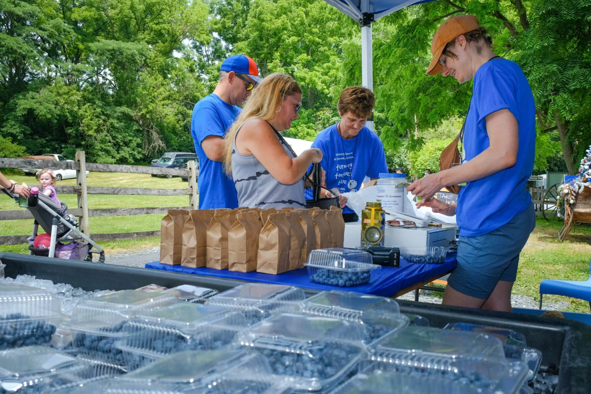 Volunteers selling blueberries to customers at Blueberry Fest